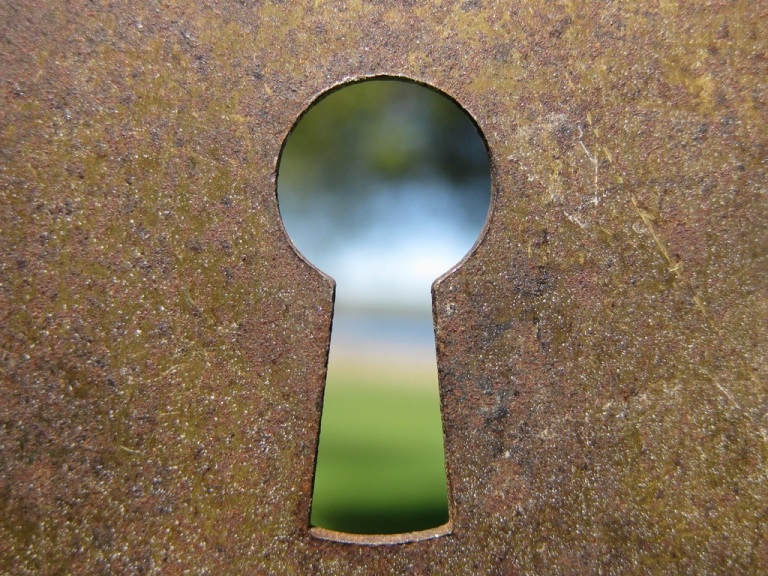 Image for What’s the Deal? Demand Transparency for the TPP