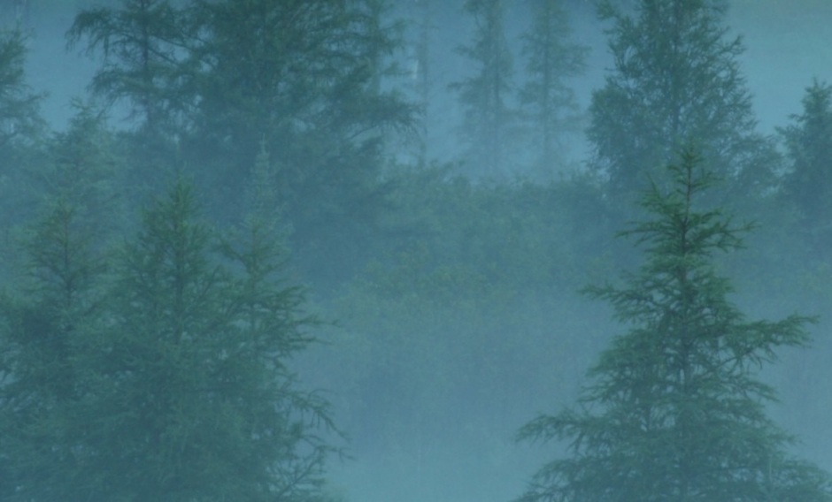 Image for Motherboard: How First Nations Kids Built Their Own Internet Infrastructure