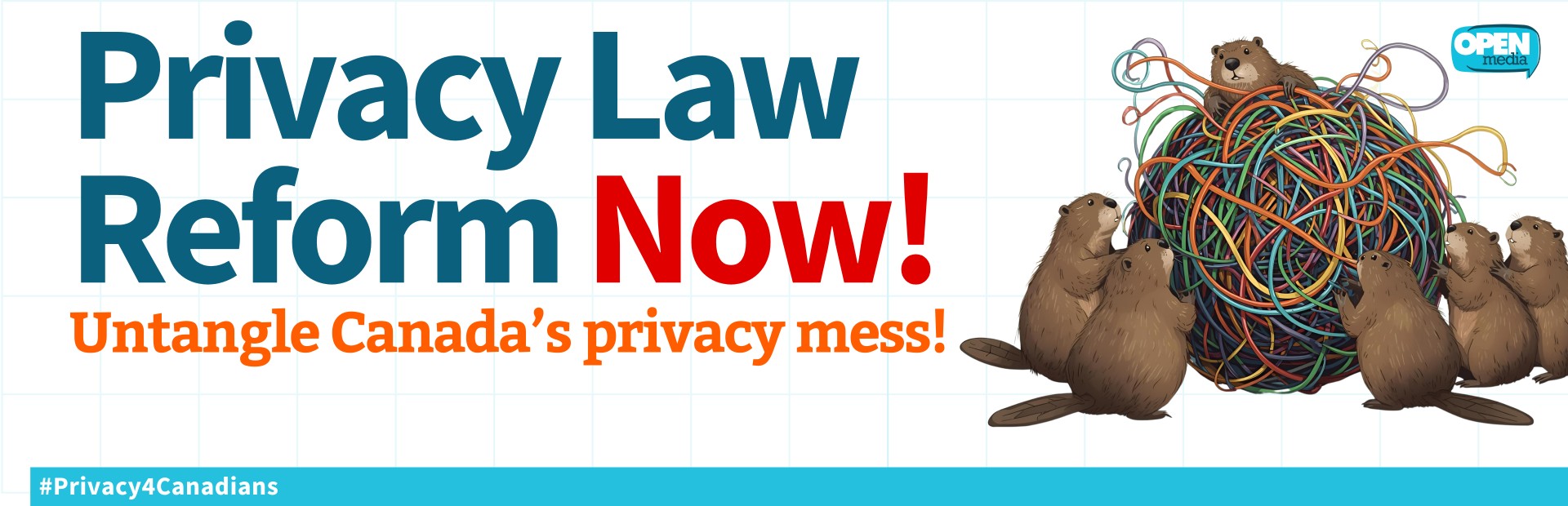 Call for Privacy Law Reform Now!