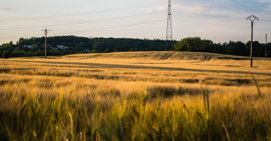 Image for OpenMedia welcomes government’s Connectivity Strategy to bring rural communities online with high-speed Internet access