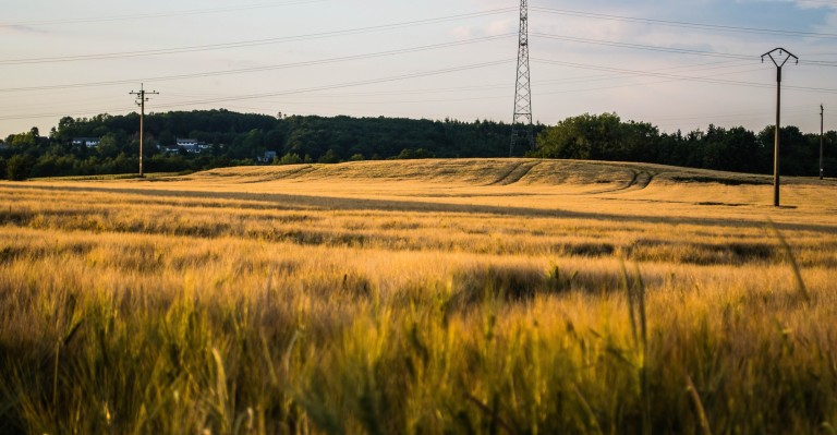 Image for OpenMedia welcomes government’s Connectivity Strategy to bring rural communities online with high-speed Internet access