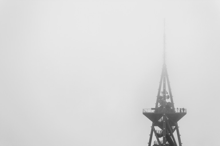 Image for Wholesale and fibre explained